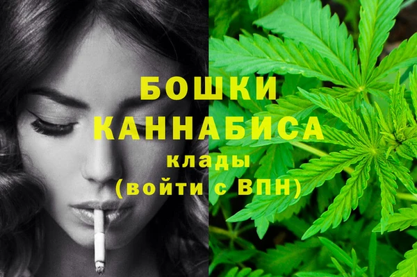 молекула духа Нефтекумск