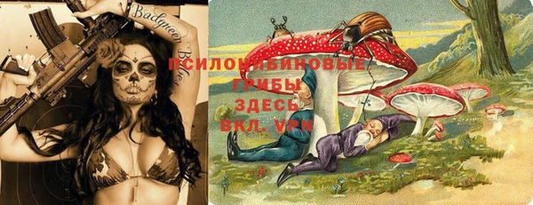 тгк Нея