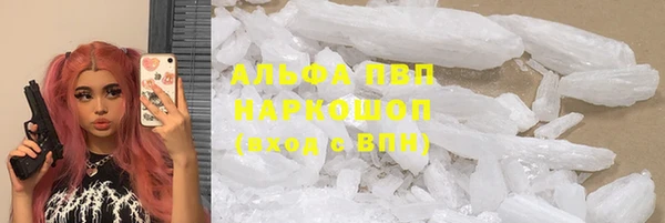 тгк Нея