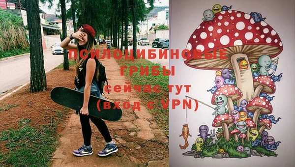 молекула духа Нефтекумск