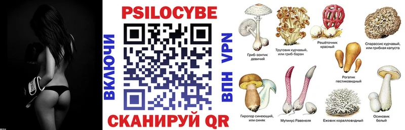 Псилоцибиновые грибы Cubensis  Красный Сулин 